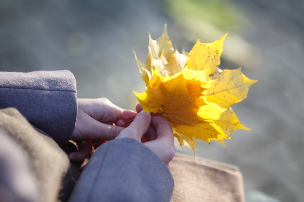 Herbstlaub in Mädchenhänden