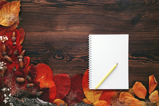 Herbstlaub, Kekse und Notizbuch aus Papier auf Holz