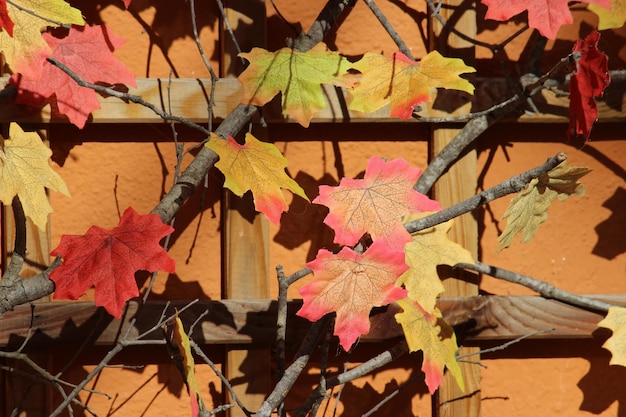 Herbstlaub kostenlos Vektor