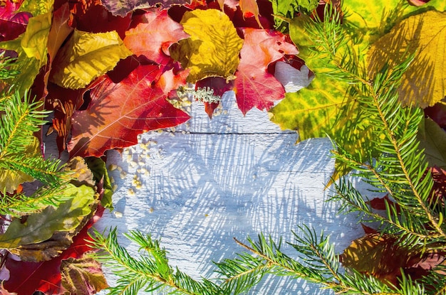 Herbstlaub über Holz mit Kopienraum