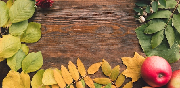 Herbstlaub und Ernte auf der Holzoberfläche. Bunter Herbst.