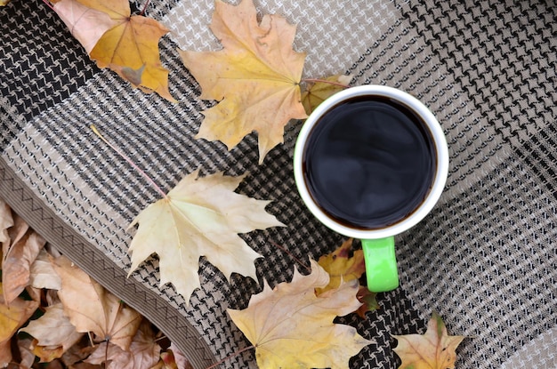 Herbstlaub und heißer dampfender Tasse Kaffee liegt auf kariertem Plaid draußen