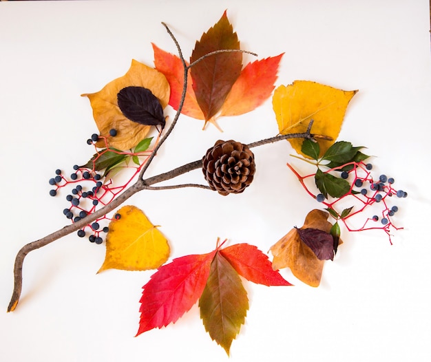 Foto herbstlaub und pinecone dekorationshintergrund