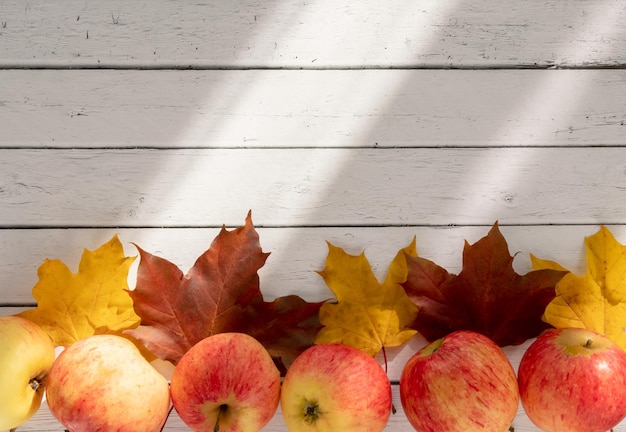 Herbstlaub und reife Äpfel auf einem hölzernen Hintergrund Saisonale Hintergrund mit leeren Raum