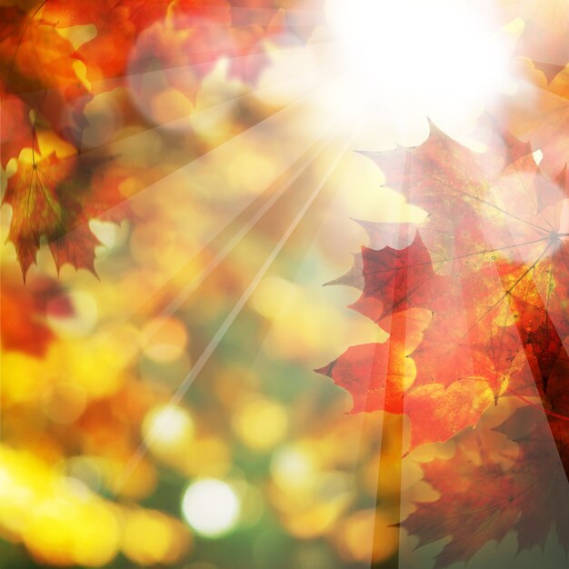 Herbstlaub und Sonnenlicht. Herbst Hintergrund