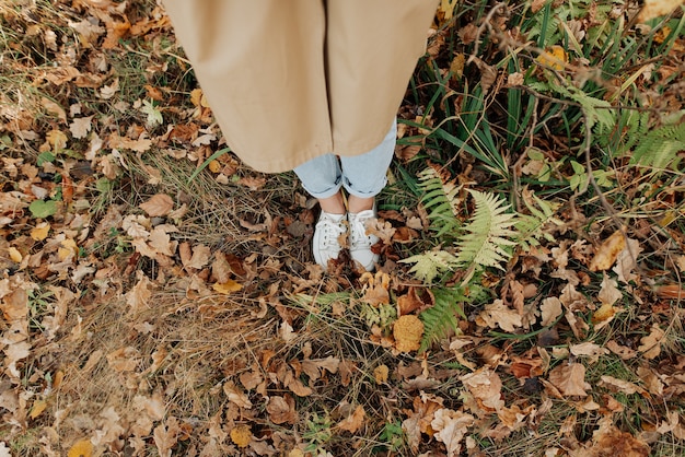 Herbstlaub und weibliche Beine in weißen Turnschuhen und blauer Jeans beige Mantel