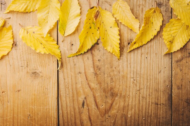 Herbstlaubhintergrund auf Holztisch