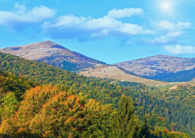 Herbstliche Bergforstwirtschaft bewachsene Hügelansicht (Ukraine, Karpaten)