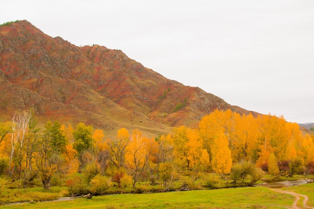 Herbstliche Berglandschaft. Herbst in den Bergen des Gorny Altai. Reise nach Altai.