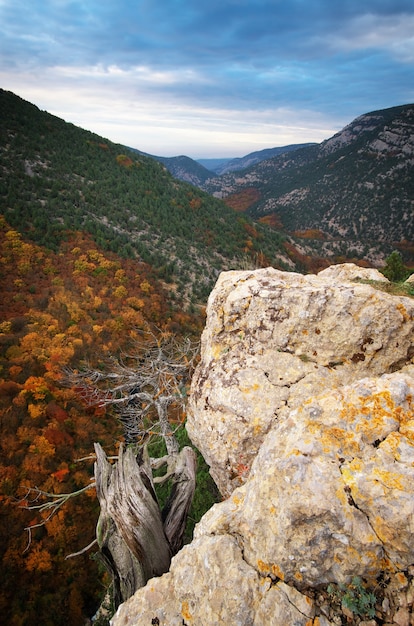 Herbstliche Berglandschaft