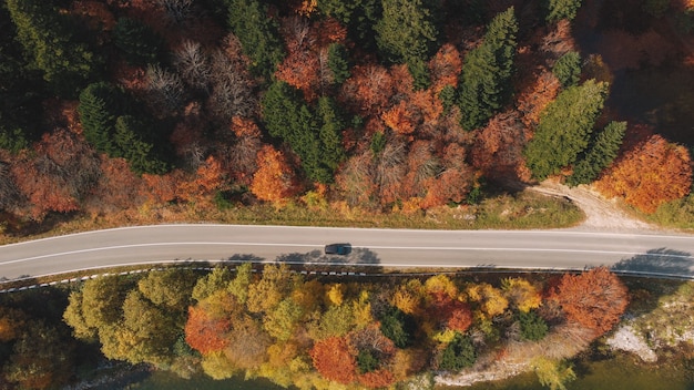 Foto herbstliche bergstraße