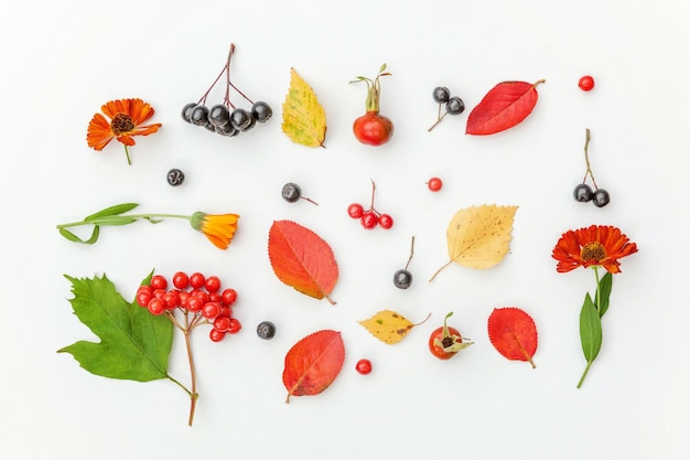 Herbstliche Blumenkomposition Pflanzen Viburnum Eberesche Beeren Heckenrose frische Blumen bunte Blätter