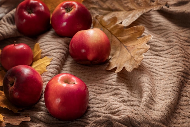 Herbstliche Flaylay-Komposition mit roten reifen Äpfeln und trockenen Eichenblättern auf textilem Hintergrund