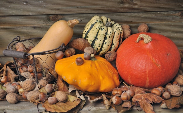 Herbstliche Kürbisse und Trockenfrüchte