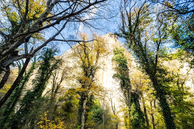 Herbstliche Landschaft der Birtvisi-Schlucht