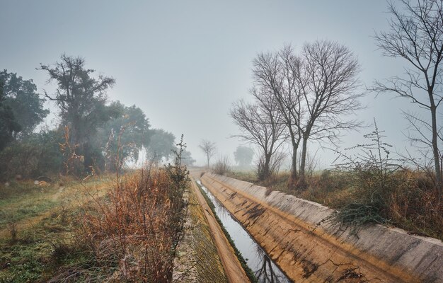 Herbstliche Landschaft mit Bewässerungswasserkanal