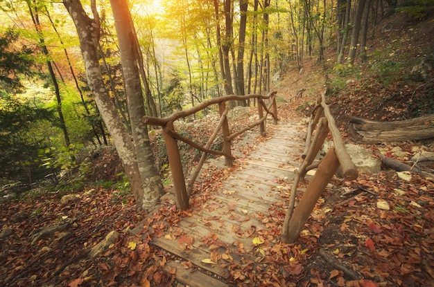 Herbstliche Landschaftsbrücke