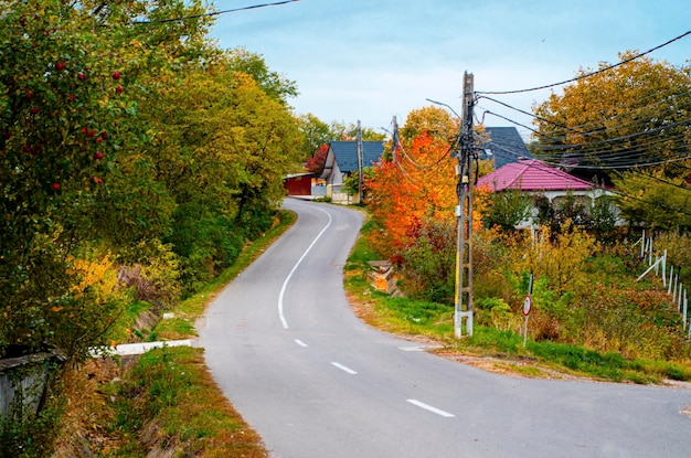 Foto herbstliche landstraße