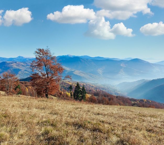 Herbstliche neblige Berglandschaft mit bunten Bäumen am Hang und Sonnenstrahlen