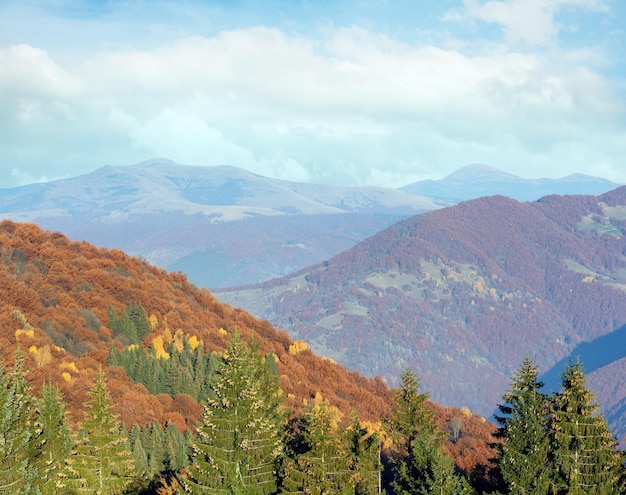 Herbstliche neblige Berglandschaft