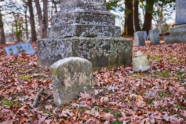 Herbstliche Ruhe auf einem Moosfriedhof mit gefallenen Blättern aus niedrigem Winkel
