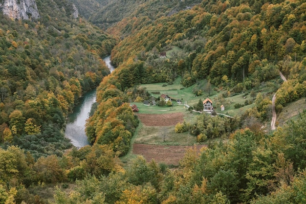 Foto herbstliche tara-flussschlucht in montenegro