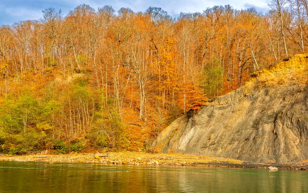 Herbstliche Waldlandschaft am Ufer eines Gebirgsflusses