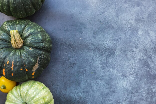 Herbstlicher Hintergrund. Natürliche Herbstfallansichtkürbisse auf dunklem schwarzem Steinschieferhintergrund. Wechsel der Jahreszeiten reifes Bio-Lebensmittelkonzept, Halloween-Party-Erntedankfest. Flache Draufsicht Kopie Raum