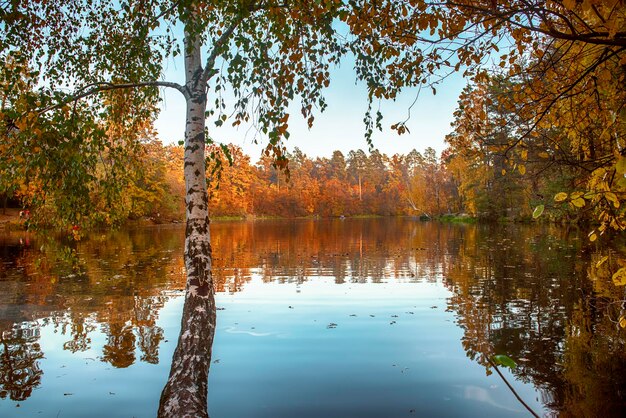 Herbstlicher schöner See