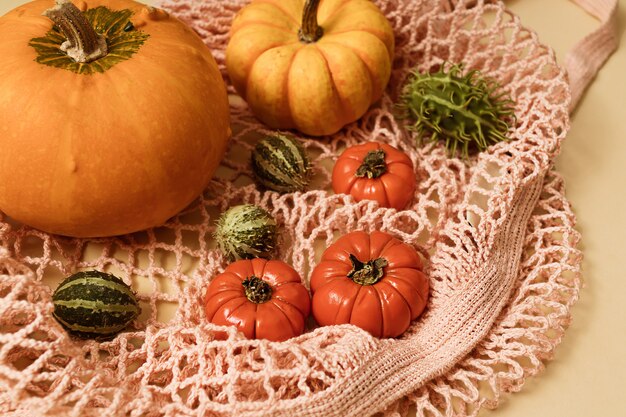 Herbstlicher sonnenbeschienener gelber Hintergrund mit Kürbissen, Physalis, Tomaten und grünen Früchten der Saison in einer rosa Öko-Netztasche. Flache Ernte oder Halloween-Konzept. Kreatives Layout von buntem Gemüse.