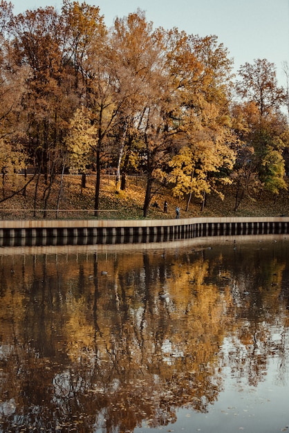 Herbstlicher sonnenuntergang am see mit den im wasser reflektierten bäumen