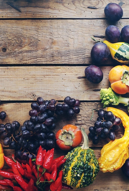 Herbstlicher Stilllebenhintergrund mit frischem Obst und Gemüse Auswahl an reifen Pflaumen, Trauben, Kürbis, Persimone und Paprika, Ernte oder Thanksgiving-Komposition, Draufsicht, Platz für Text