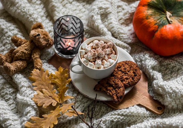 Herbstlicher Stilllebenkakao mit Marshmallow-Schokoladenkeksen gelbe Eichenblätter Zweig Teddybär Spielzeugkerze auf einer gemütlichen gestrickten Decke Draufsicht