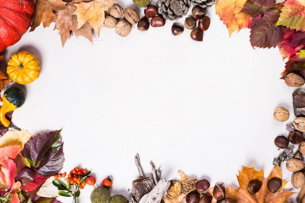 Herbstlicher weißer Hintergrund mit ovalem Rahmen