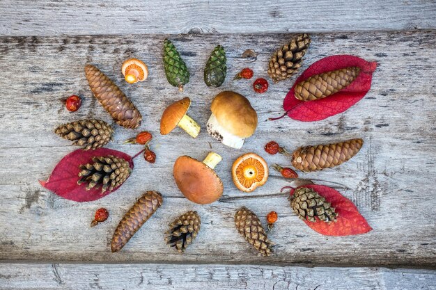 Herbstliches dekoratives Stillleben mit Pilzen, Blättern, Zapfen. Flache Lage, Draufsicht