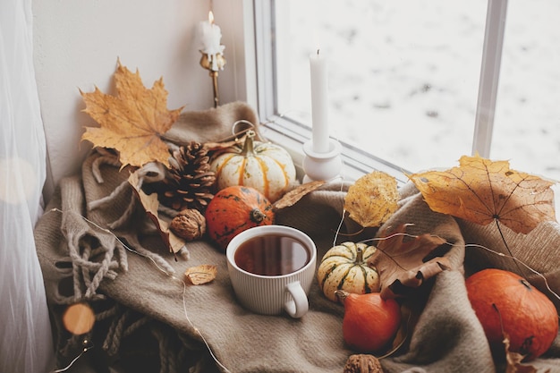 Herbstliches Stillleben. Warme Tasse Tee, Kürbisse, Herbstblätter, Kerzenlichter auf einem bequemen braunen Schal auf der Fensterbank. Hygge-Herbst-Wohnkultur. Fröhliches Thanksgiving