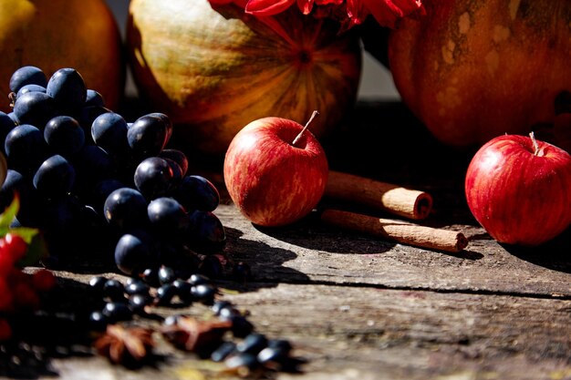 Herbstmesse Kürbis Trauben Äpfel Viburnum Johannisbeere und Zimtstangen mit hohen Winkel Schatten auf Holztisch Thanksgiving Day Konzept Herbsthintergrund im Freien Natürlicher Hintergrund Kopierbereich