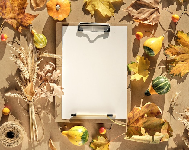 Herbstmodell weißes Papier auf Papierblock Natürliche Herbstblätter Weizenähren kleine Kürbisse trockenes Pampasgras Copyspace Textplatz