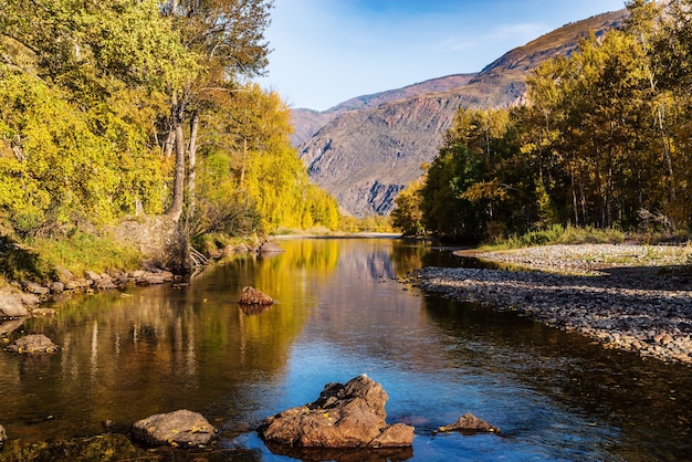 Herbstmorgen-Gebirgsflusslandschaft. Russland, Altai, Chulyshman River