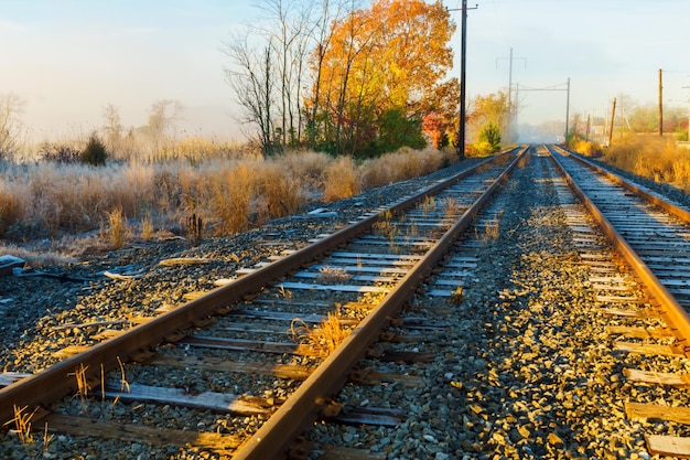 Herbstnebel Eisenbahn Nebel, der Eisenbahngleise bedeckt