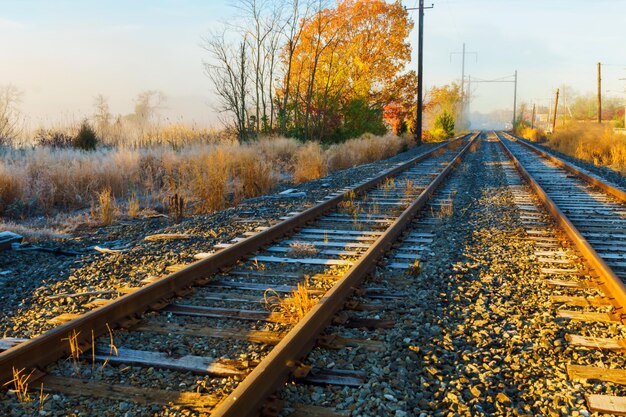 Herbstnebel Eisenbahn Nebel, der Eisenbahngleise bedeckt