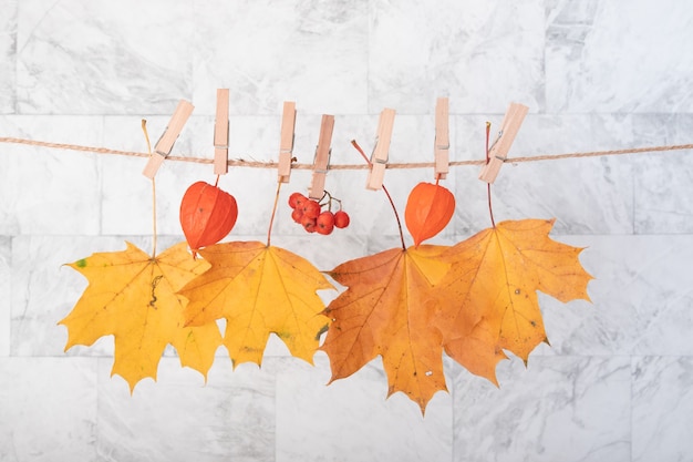 Herbstorange Blätter an einem Seil und Wäscheklammern. Kreatives Herbstkonzept