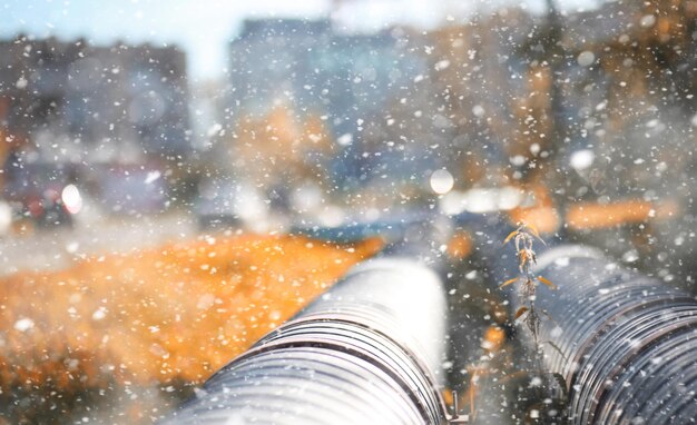 Herbstpark im ersten Schnee