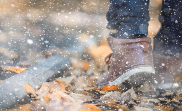 Herbstpark im ersten Schnee