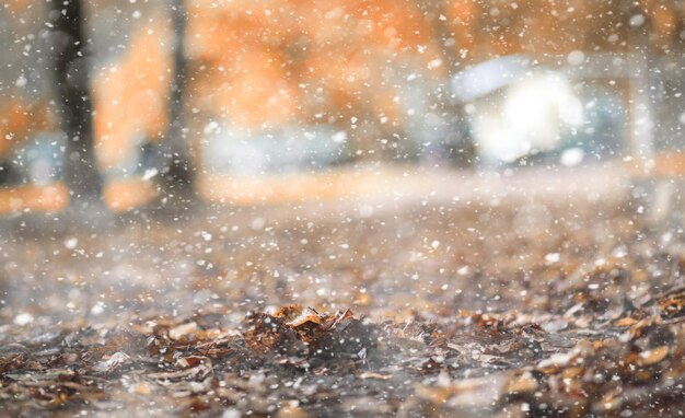 Herbstpark im ersten Schnee