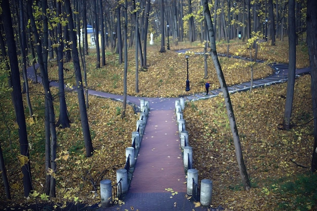 Herbstpark in der Hintergrundlandschaft der Stadt, abstrakte Herbstansicht