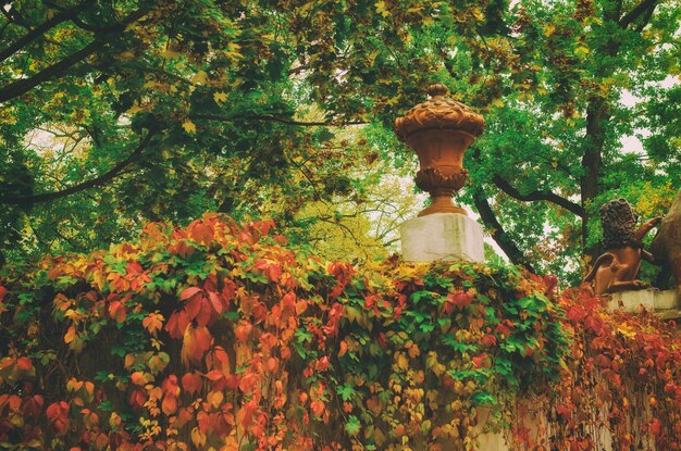 Herbstpark mit Herbstbäumen und roten Weinblättern natürlichen saisonalen Hipster-Hintergrund