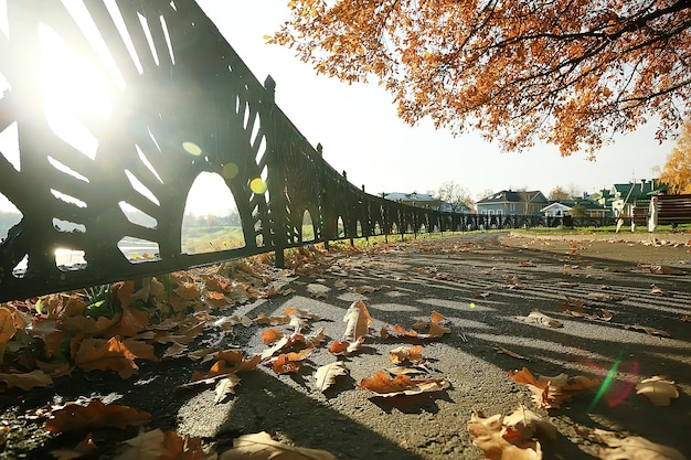 Herbstpark Sonnenlandschaft / saisonale Herbstlandschaft in einem gelben Park, Sonnenstrahlen bei Sonnenuntergang im Oktober