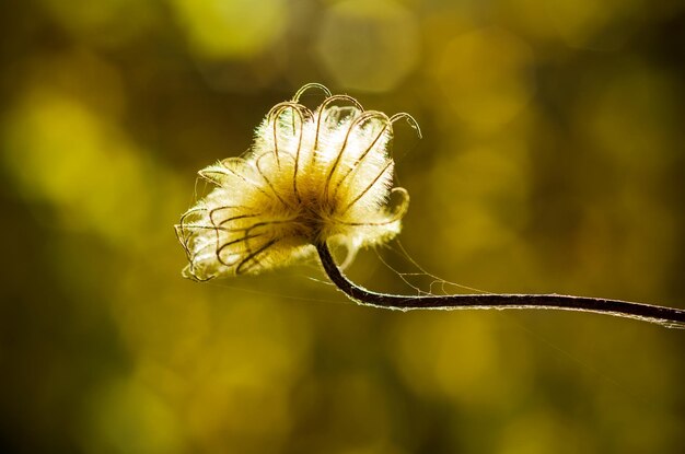 Herbstplan