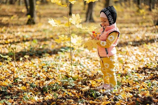 Herbstporträt im Freien eines schönen glücklichen Mädchens im Wald mit Spechtspielzeug in den Händen gegen gelbe Blätter